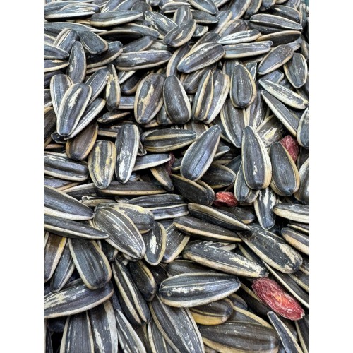 台灣桂圓葵瓜子【約80克】 台灣桂圓葵瓜子【約80克】